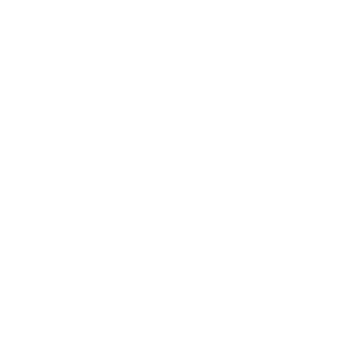 Entretien, conseils et audit personnalisé de votre situation