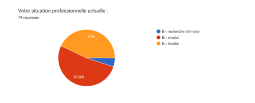 Situation professionnelle